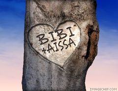 bibi et aissa